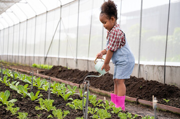 Happy African American kid girl watering vegetable at organic vegetable plant in greenhouse	