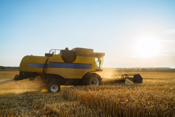 Combine harvester harvests ripe wheat. Ripe ears of gold field on the sunset cloudy orange sky...