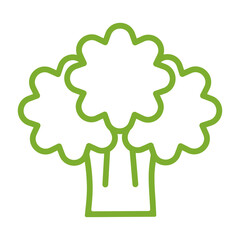 Broccoli line icon, vector. Broccoli outline sign