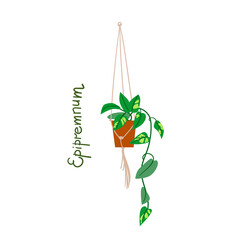 Houseplants vector illustrations. Urban jungls. Plants are friends. - 509840040