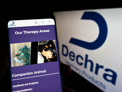 Stuttgart, Germany - 06-04-2022: Person holding cellphone with website of British company Dechra Pharmaceuticals plc on screen in front of logo. Focus on center of phone display.