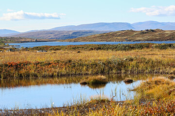 Forollhogna National park, Norway