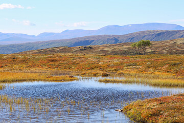 Forollhogna National park, Norway