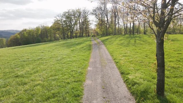 A gravel road between two lush meadows leading towards a deciduous forest that is barely blossoming at the beginning of spring. Wide angle approaching shot