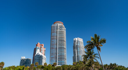 Urban skyline with skyscrapers and palms bottom view on blue sky in South Beach, USA