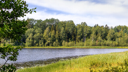 A lake and a blue sky with white clouds and a lot of dark and light green trees