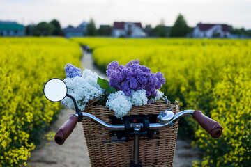 bike with basket with flowers against rapeseed field
