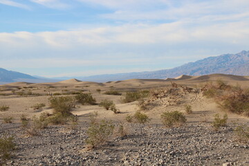 Mesquite sand dunes, Death Valley National Park, Death Valley, Inyo County, California