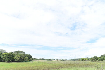 Imagenes de la llanura, campo argentino