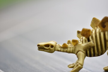 Stegasaurus Skeleton © Jake