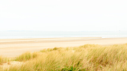 Fototapeta na wymiar Wide wild sandy beach with grass hills landscape 