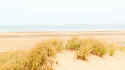 Wild beach landscape Wide beach with sand dunes on the coast of sea
