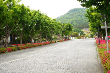 Naklejka premium Motoi-zaka Slope in Hakodate, Hokkaido, Japan - 日本 北海道 函館 基坂 
