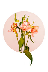 Fresh light orange lilies flower bouquet detail in a graphic round composition