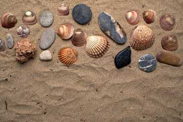 Shells and stones on the beach sand