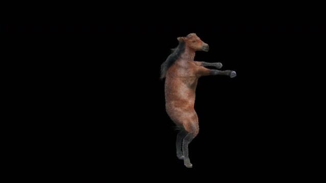 Horse Dancing, 3d rendering, Animation Loop, cartoon, included in the end of the clip with Alpha matte.
