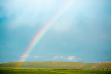 Bright rainbow over green field. Spring freshness. Summer or spring landscape with vibrant colors.