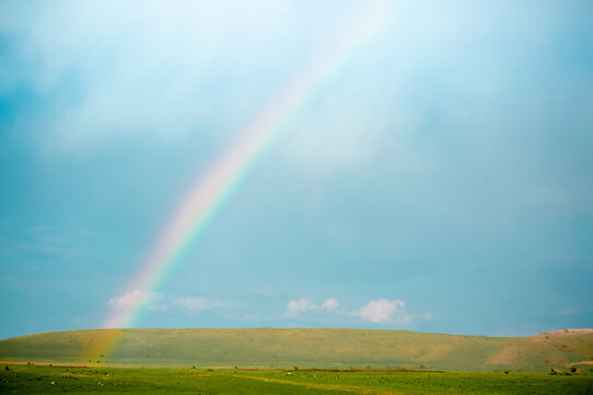 Bright rainbow over green field. Spring freshness. Summer or spring landscape with vibrant colors. © Vera