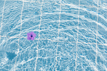 Purple flowers of hibiscus on a clear blue water surface. Ripple wave, splashes and drops in swimming pool. Summer mood, vacation, relax and beauty concept background.