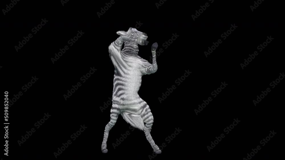 Poster zebra dancing, 3d rendering, animation loop, cartoon. included in the end of the clip with alpha mat