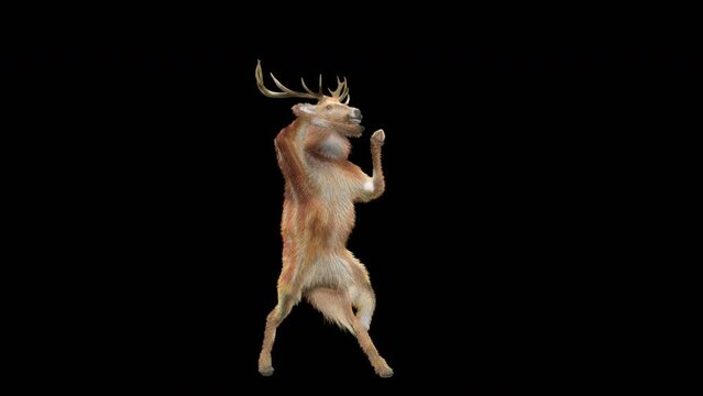 Deer Dancing CG fur 3d rendering animal realistic CGI VFX Animation Loop  composition 3d mapping cartoon, Included in the end of the clip with Alpha matte.