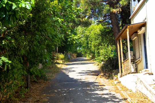 Parkway Burgazada Burgaz İsland İstanbul İslands Adalar