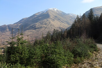 Fototapeta premium mamores glen nevis Sgùrr a' Mhàim scotland highlands