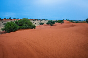 Beautiful landscape with vivid colours in Kalahari desert.
