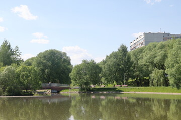 Lush greenery of trees and lawns around the pond in the park, urban landscape park.