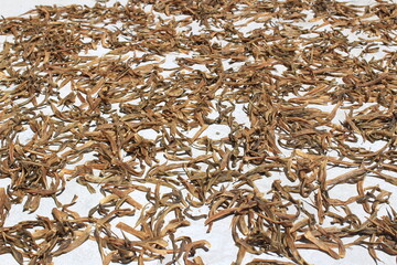 Dried Cluster Beans fryums or Currant.Cluster beans are drying in the direct sunlight in the morning