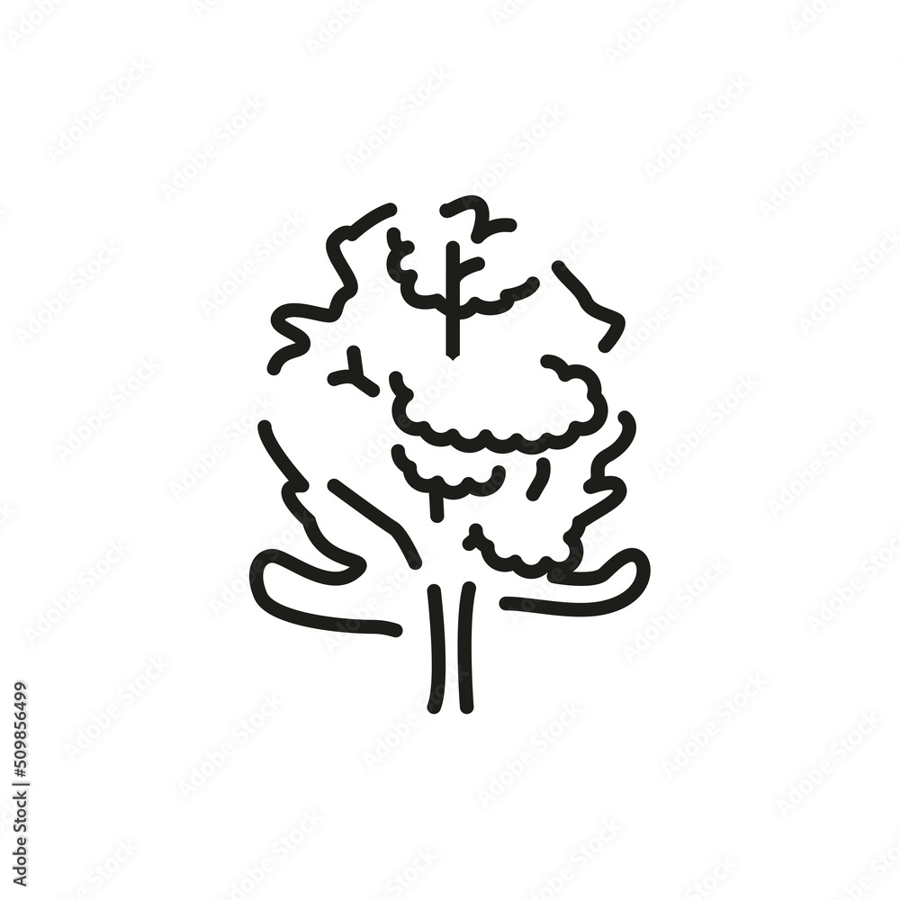 Poster alder tree color line icon. pictogram for web page