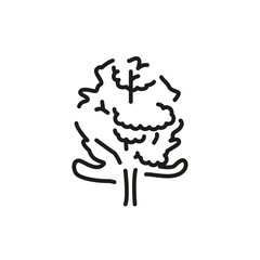 Alder tree color line icon. Pictogram for web page