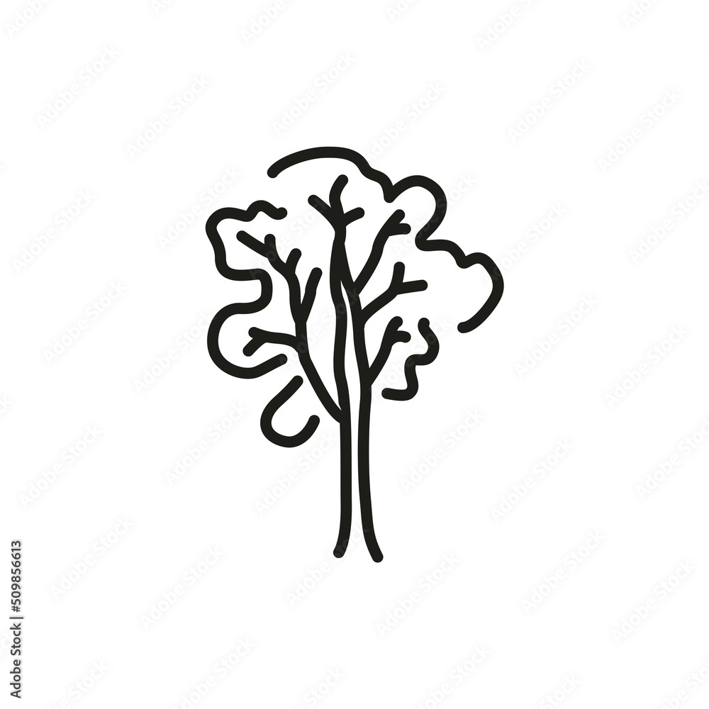 Poster ash tree color line icon. pictogram for web page
