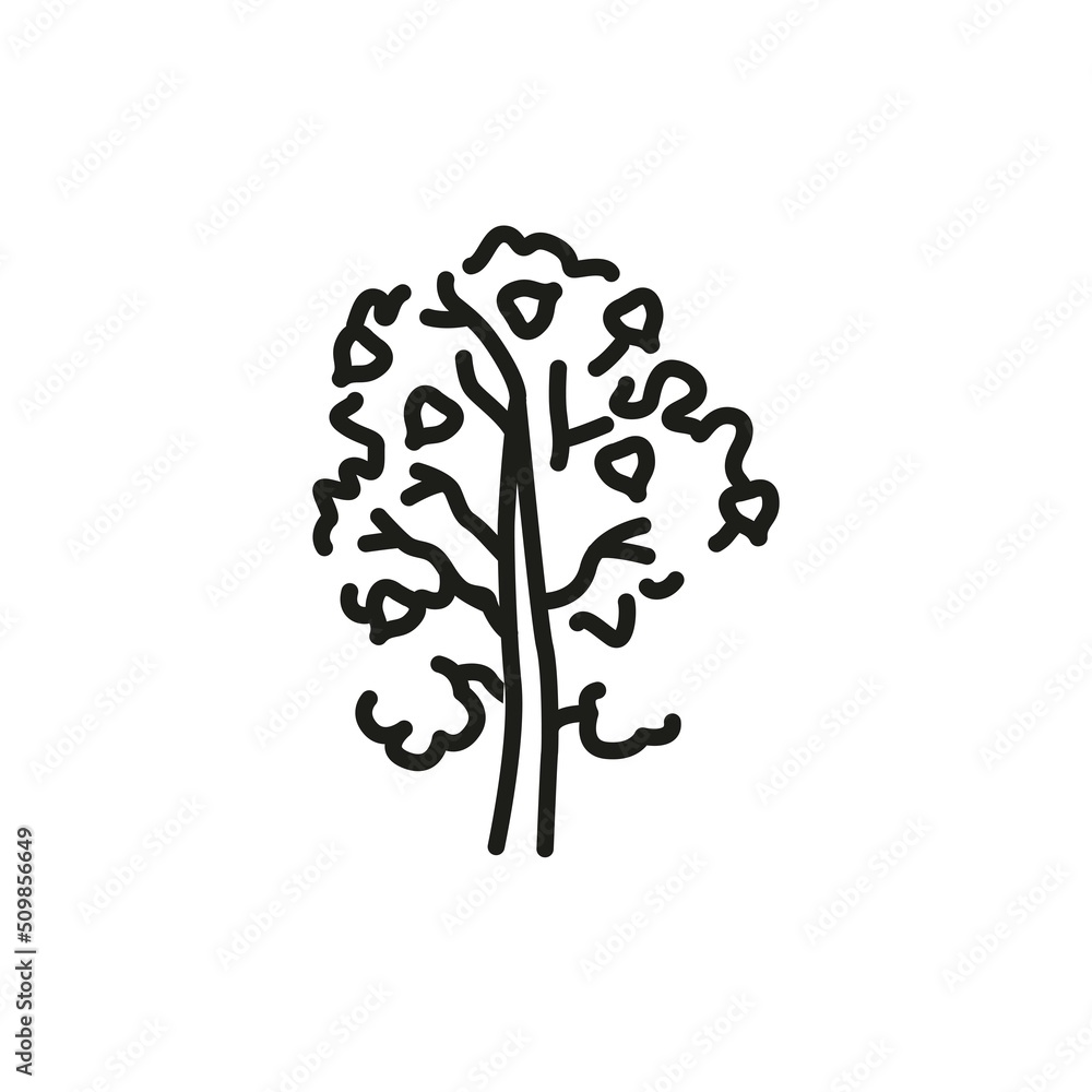 Poster aspen tree color line icon. pictogram for web page