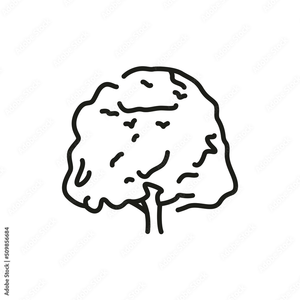 Poster beech tree color line icon. pictogram for web page