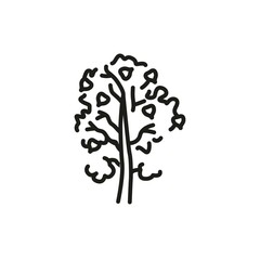 Aspen tree color line icon. Pictogram for web page