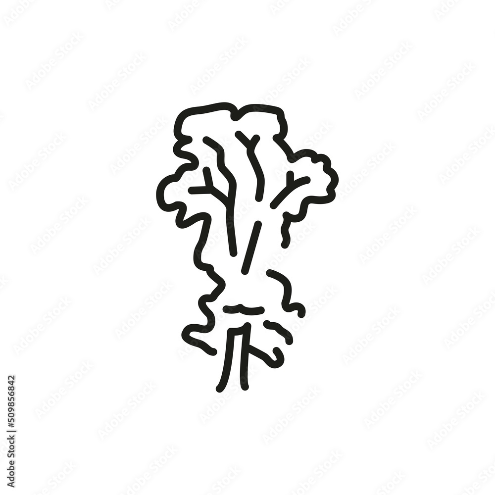 Poster elm tree color line icon. pictogram for web page