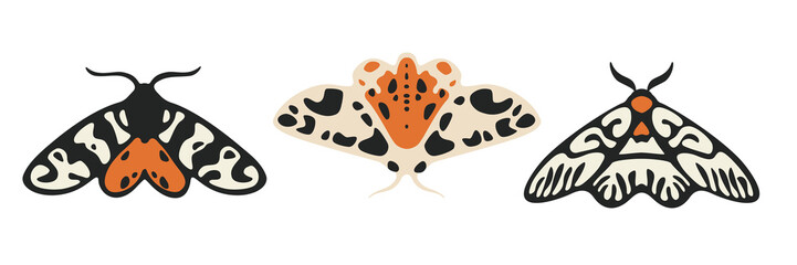 Different type of butterfly. Contour vector illustration for prints, clothing, packaging, stickers, logo, emblem.