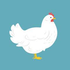 Illustration of chicken. Contour vector illustration.
