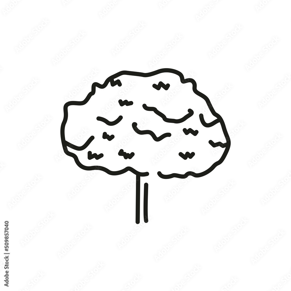 Poster maple tree color line icon. pictogram for web page