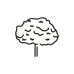 Maple tree color line icon. Pictogram for web page