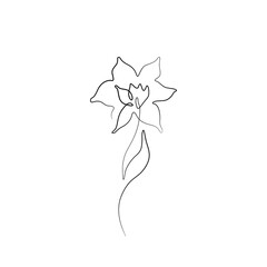 Flower abstract print continuous line drawing, single line on a white background, isolated vector illustration. Line art. Tattoo and logo design for a spa or beauty salon. 