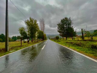 road in the fog