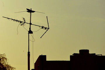silhouette of building