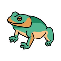 Tailless frog color line illustration. Animals of Australia
