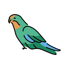 Australian parrot color line illustration. Animals of Australia