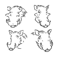 Black and white vector line drawing of a Warthog's face