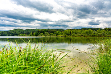 Idyllisches Ufer am Seehamer See