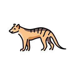 Marsupial wolf color line illustration. Animals of Australia