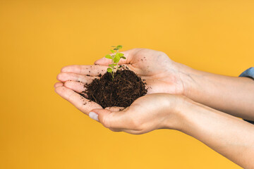 Closeup shot of a woman holding a green plant in palm of her hand. Close up hand holding a a young...